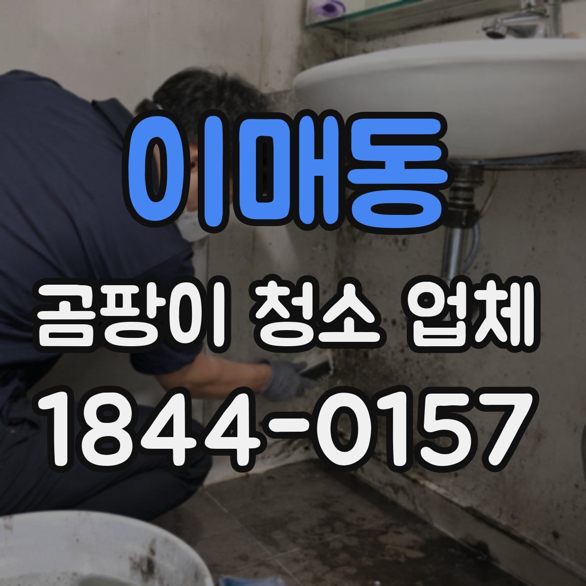 이매동 곰팡이 청소 업체