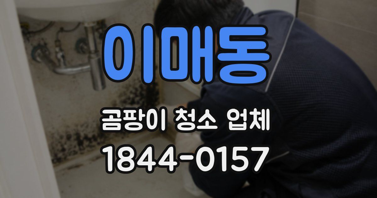 이매동 곰팡이 청소 업체