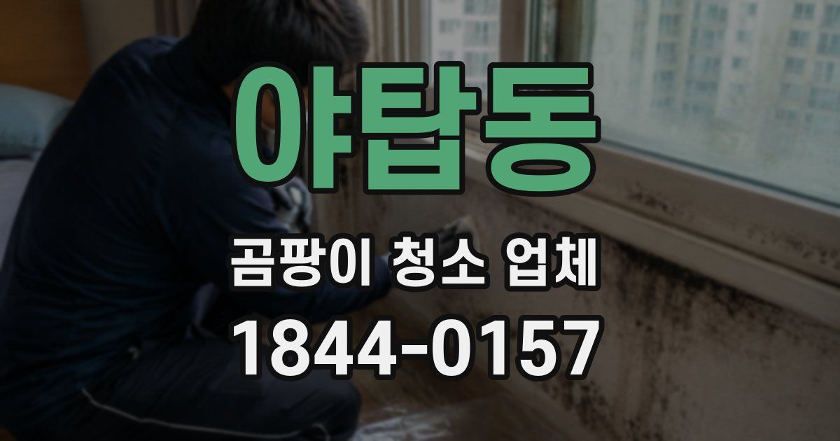 야탑동 곰팡이 청소 업체