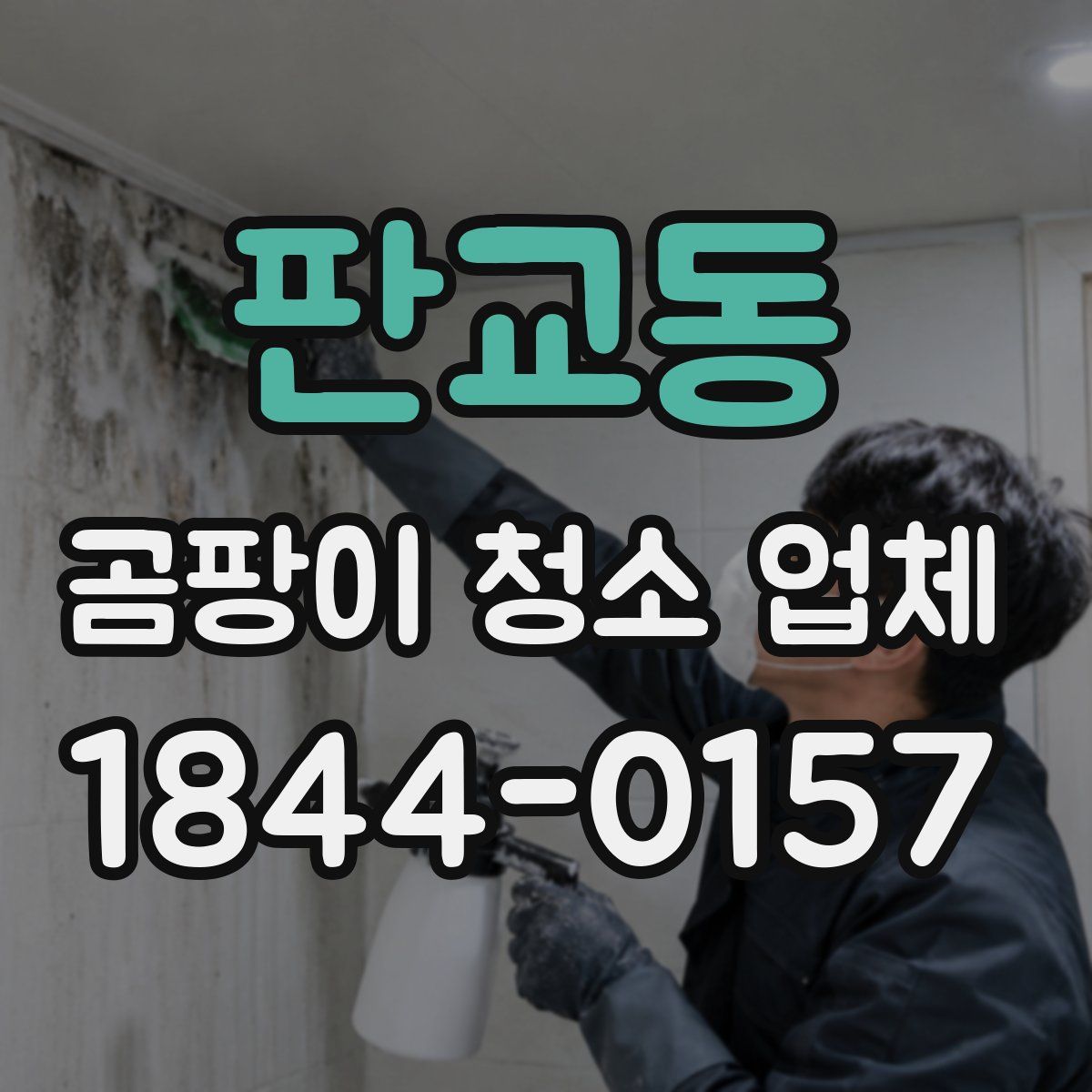 판교동 곰팡이 청소 업체
