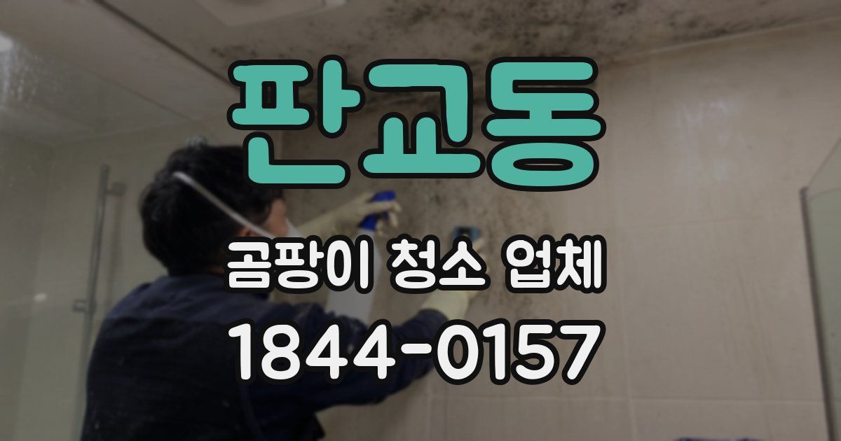 판교동 곰팡이 청소 업체