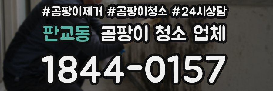 판교동 곰팡이 청소 업체