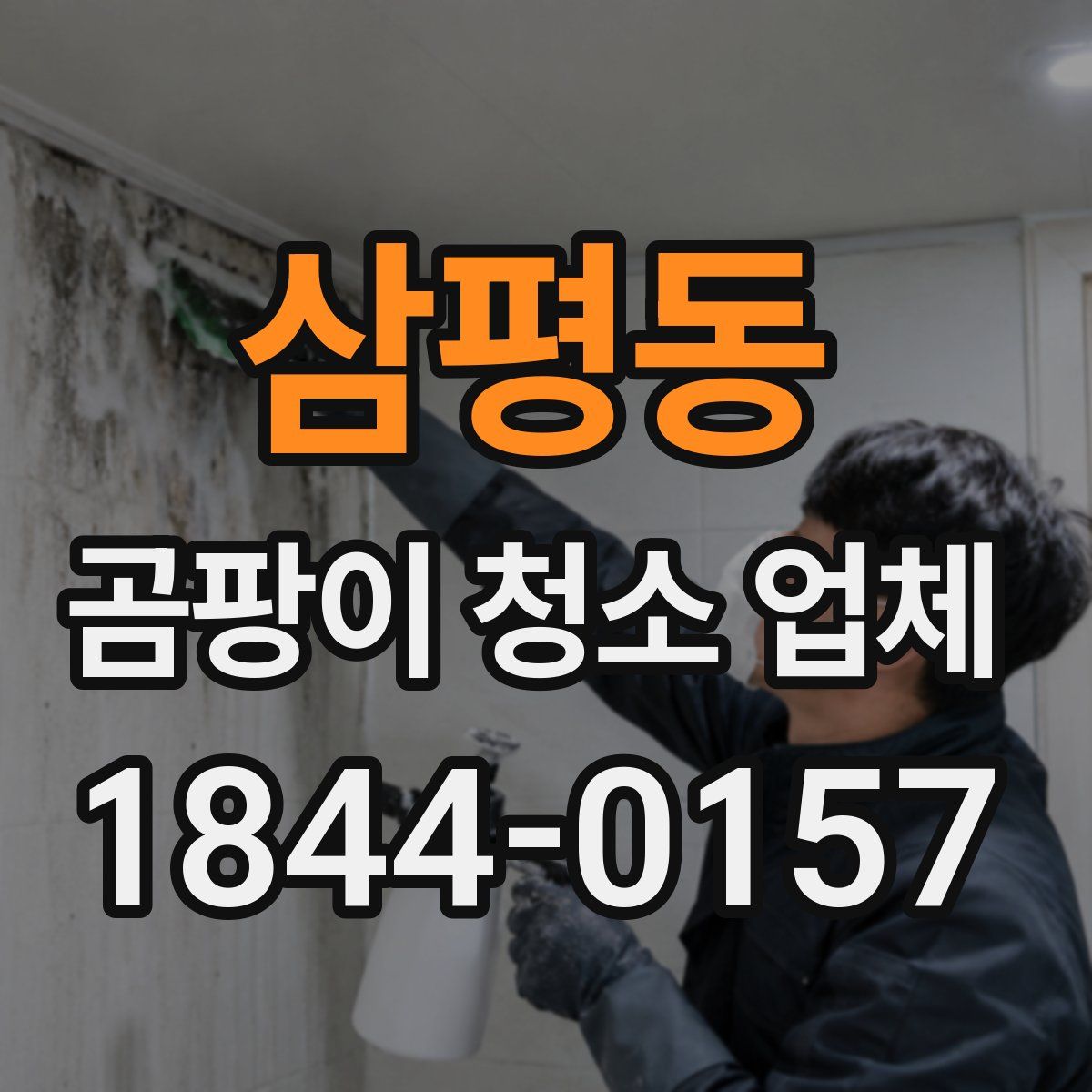삼평동 곰팡이 청소 업체