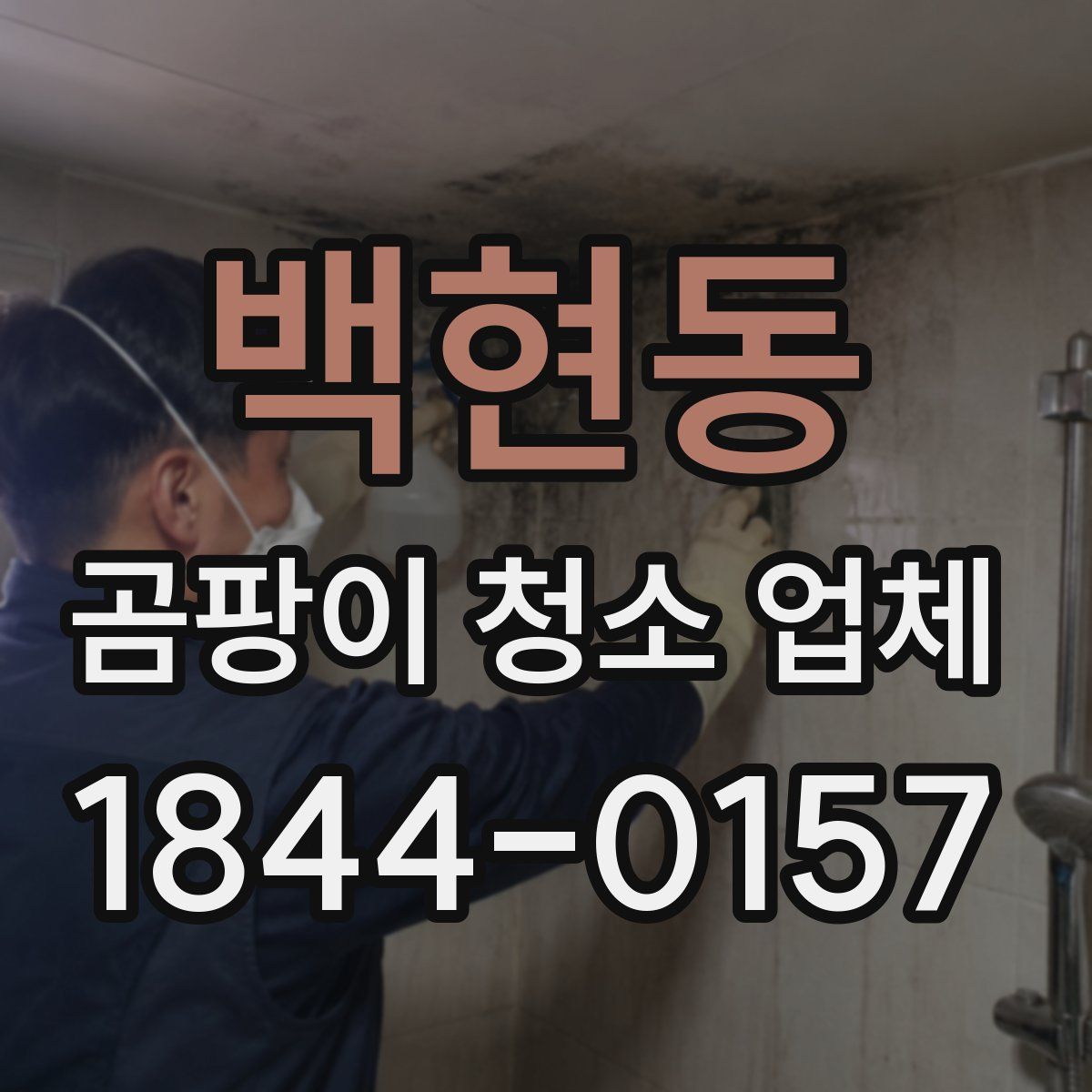 백현동 곰팡이 청소 업체