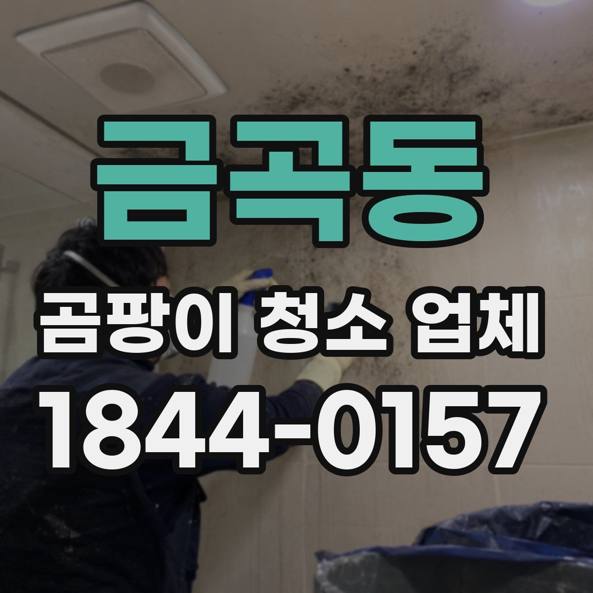 금곡동 곰팡이 청소 업체
