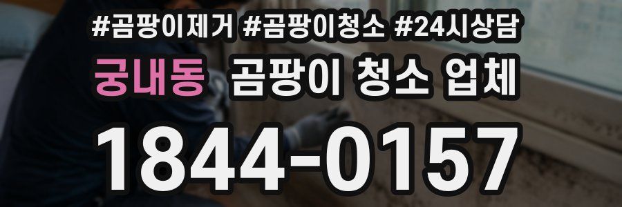 궁내동 곰팡이 청소 업체