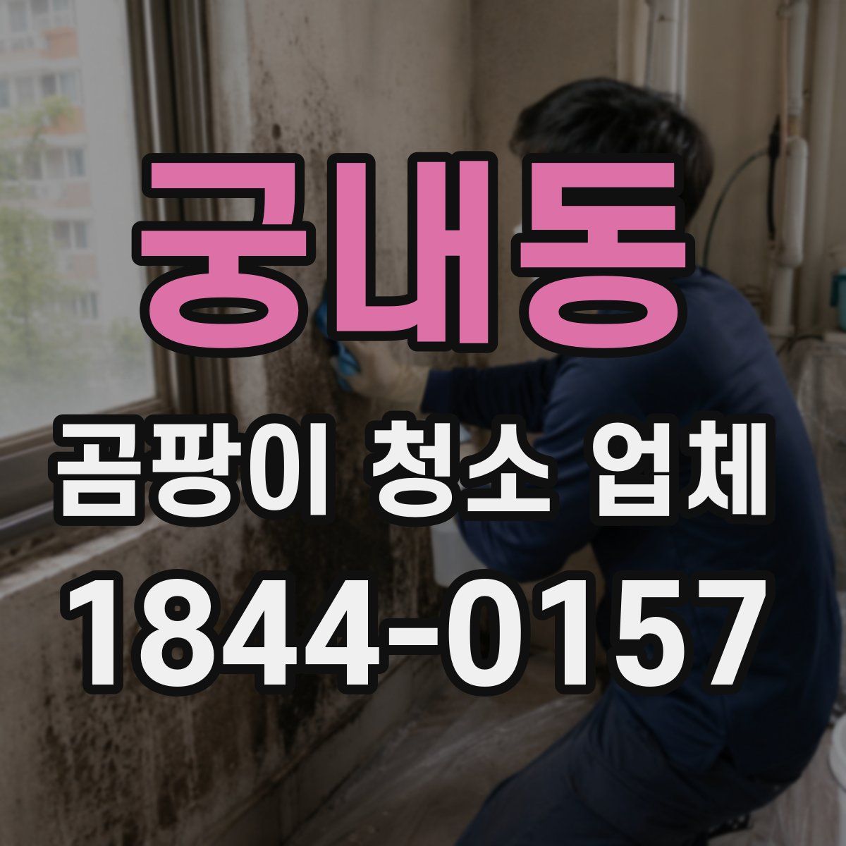 궁내동 곰팡이 청소 업체
