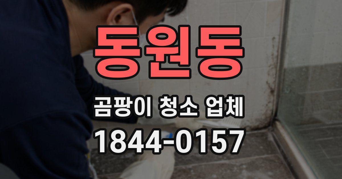 동원동 곰팡이 청소 업체