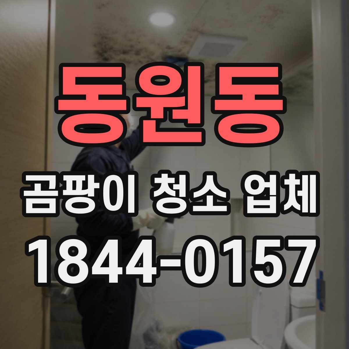 동원동 곰팡이 청소 업체