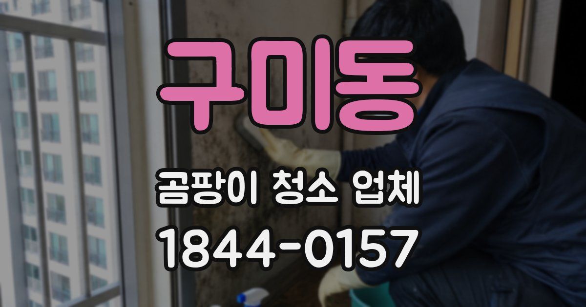 구미동 곰팡이 청소 업체