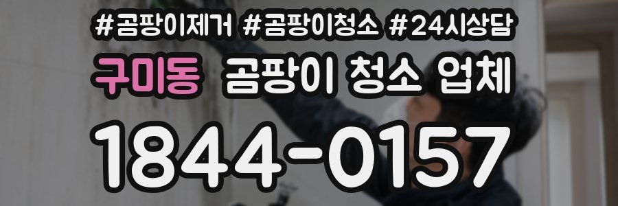 구미동 곰팡이 청소 업체
