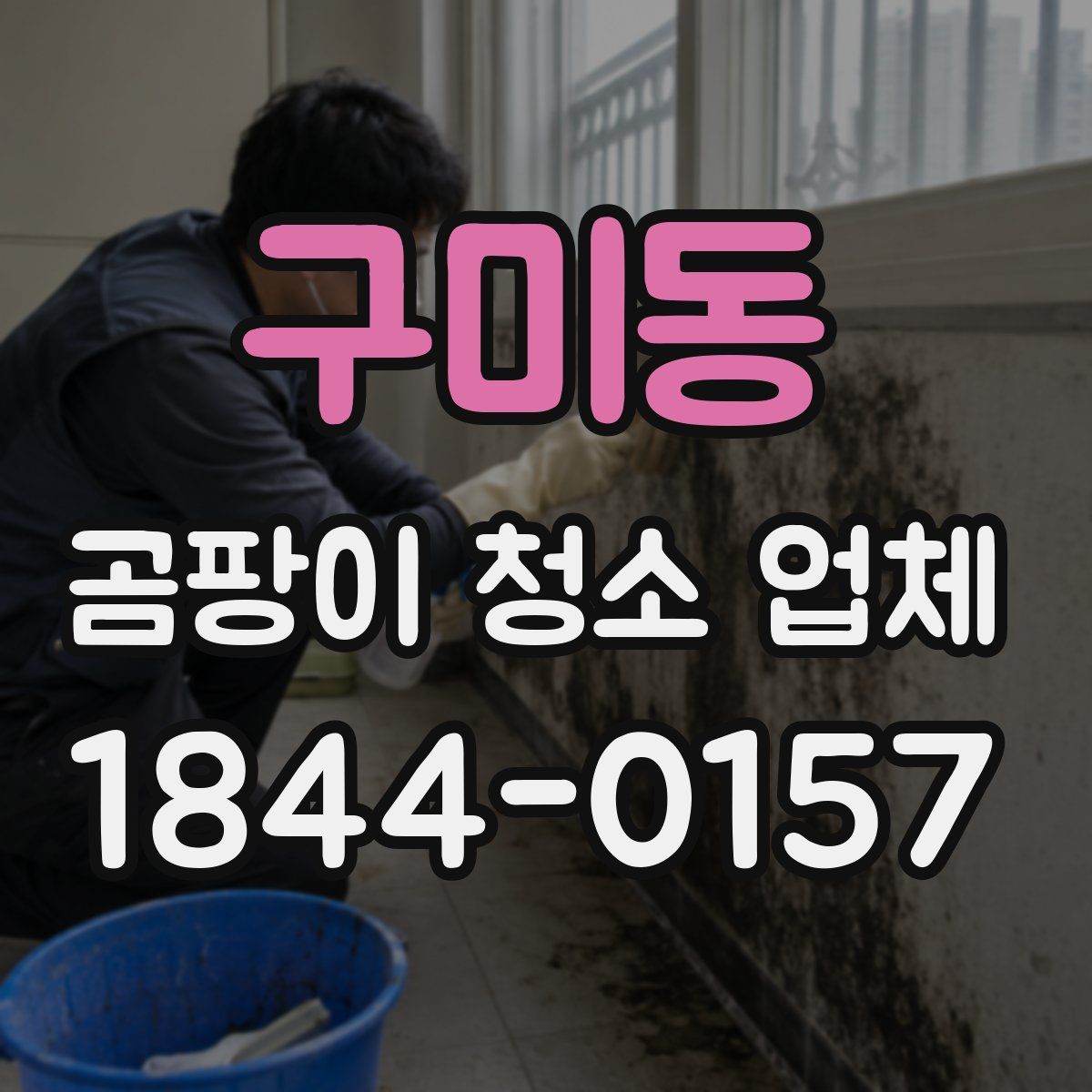 구미동 곰팡이 청소 업체