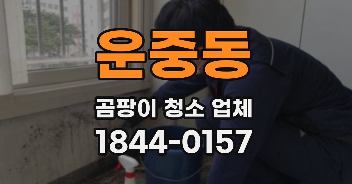 운중동 곰팡이 청소 업체