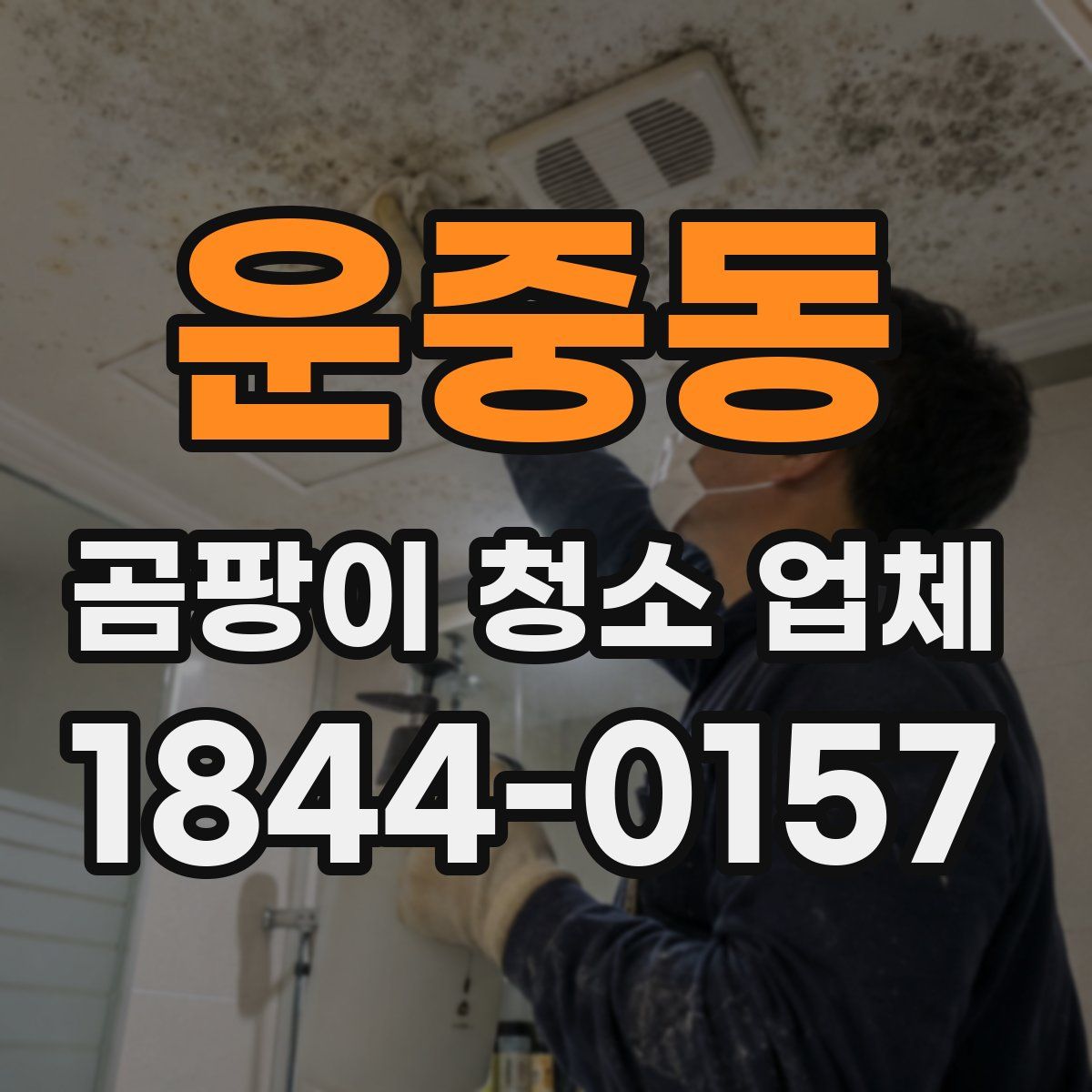 운중동 곰팡이 청소 업체