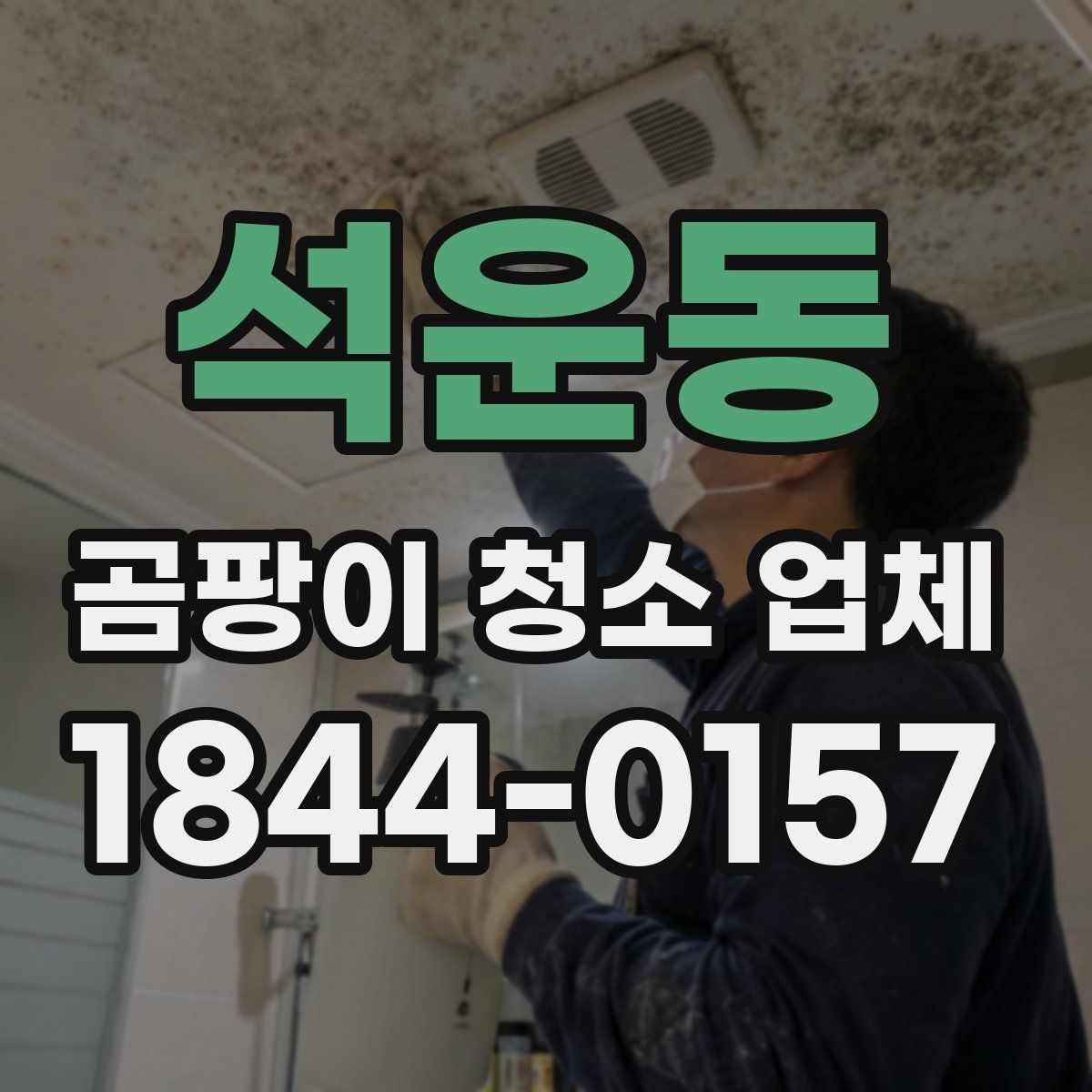 석운동 곰팡이 청소 업체
