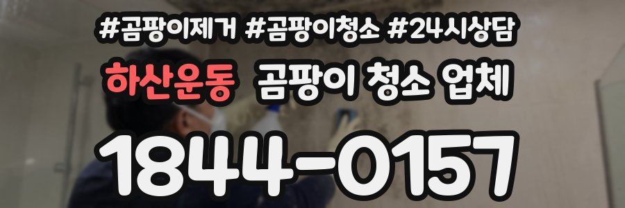 하산운동 곰팡이 청소 업체