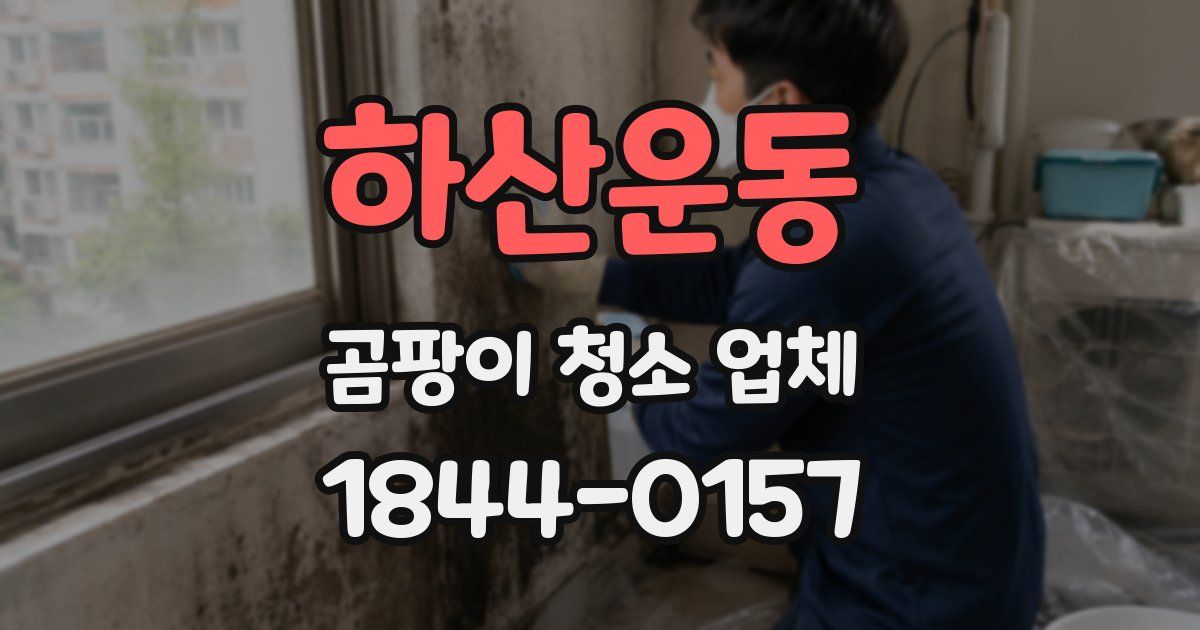 하산운동 곰팡이 청소 업체