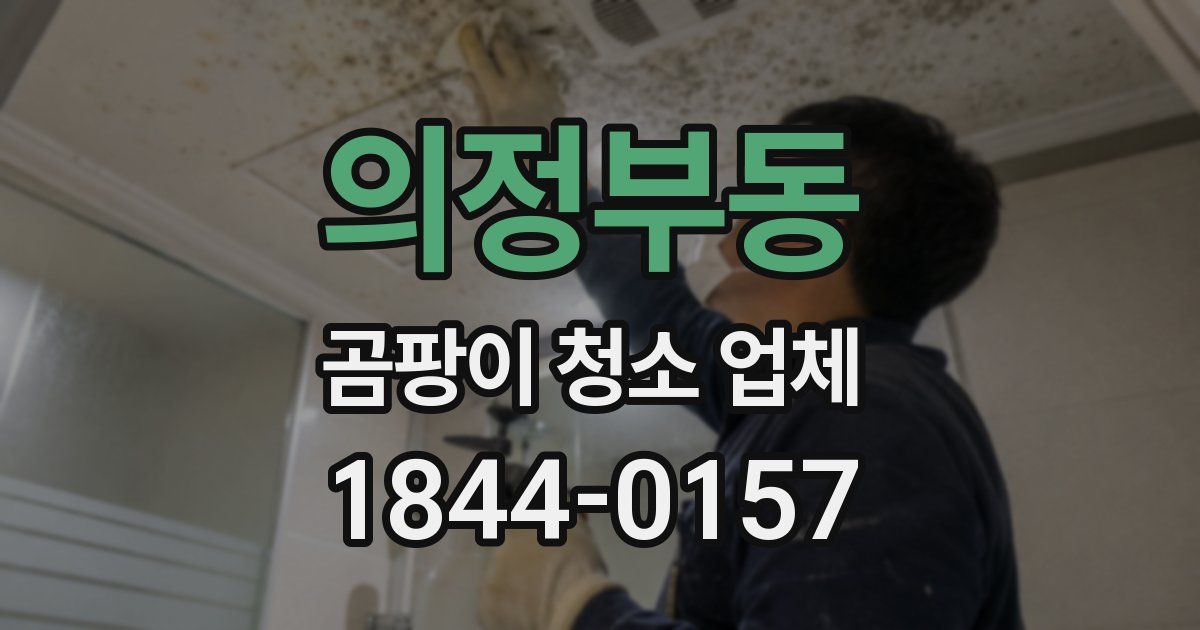 의정부동 곰팡이 청소 업체