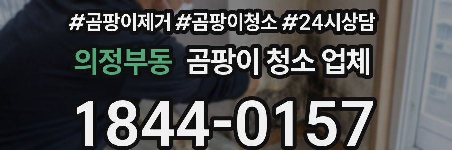 의정부동 곰팡이 청소 업체