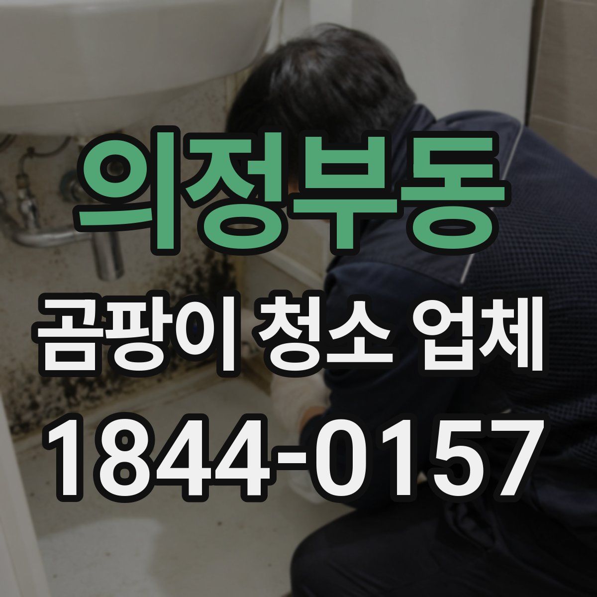 의정부동 곰팡이 청소 업체