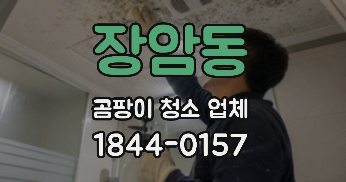 장암동 곰팡이 청소 업체