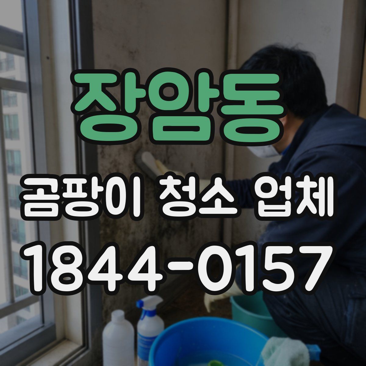 장암동 곰팡이 청소 업체
