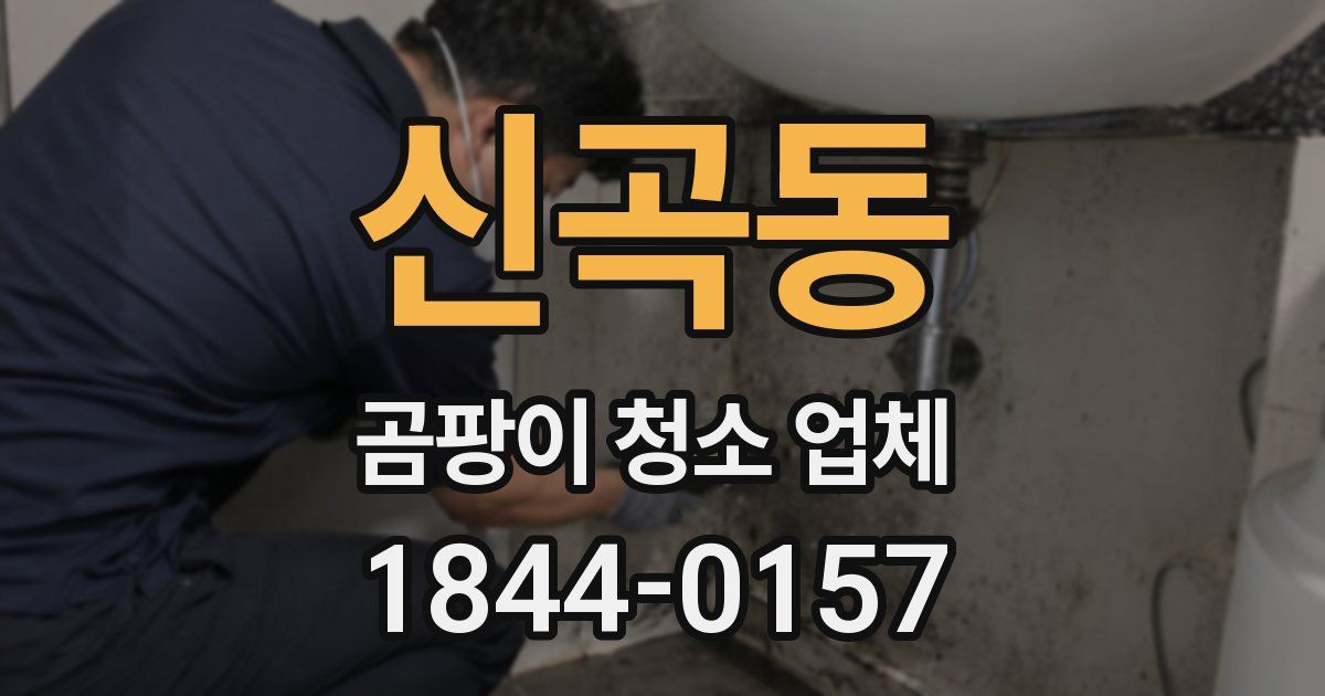 신곡동 곰팡이 청소 업체