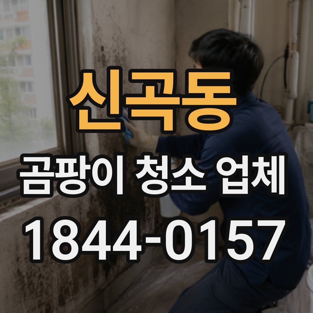 신곡동 곰팡이 청소 업체
