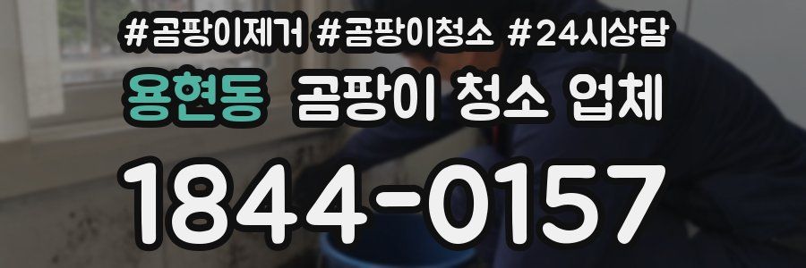 용현동 곰팡이 청소 업체