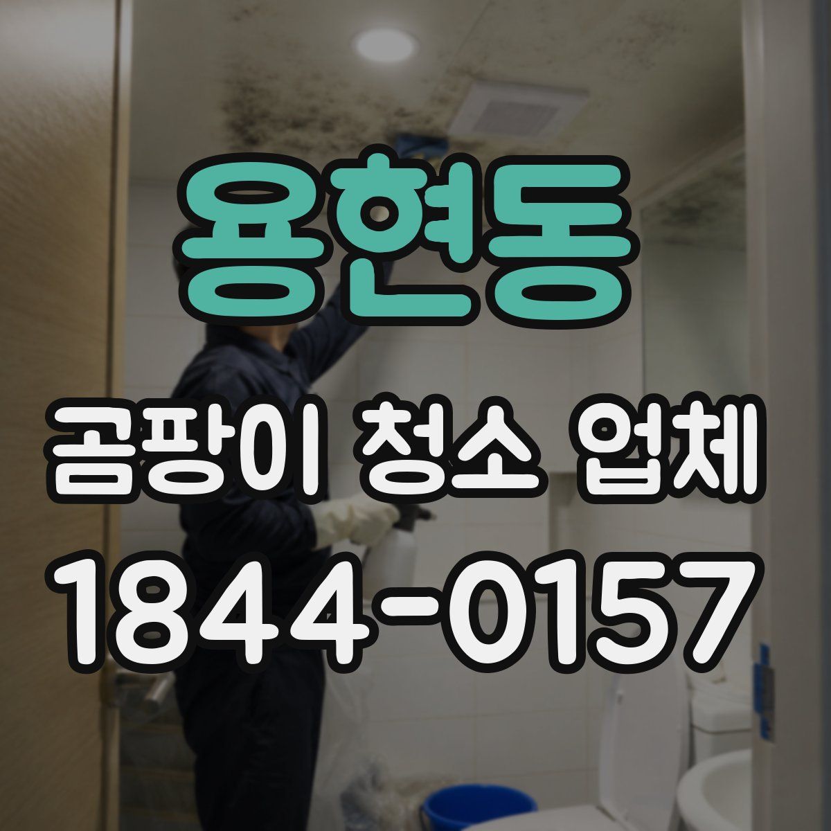용현동 곰팡이 청소 업체