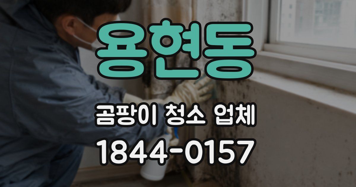 용현동 곰팡이 청소 업체