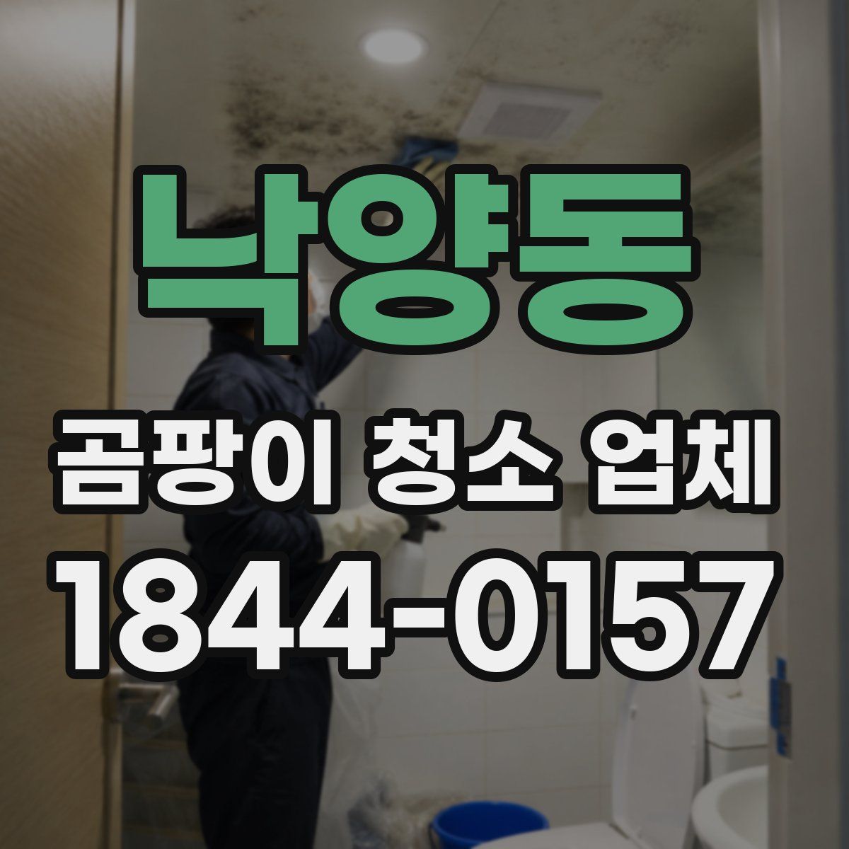 낙양동 곰팡이 청소 업체