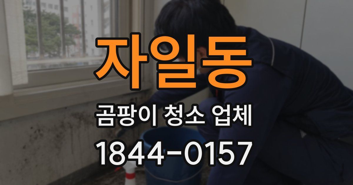 자일동 곰팡이 청소 업체