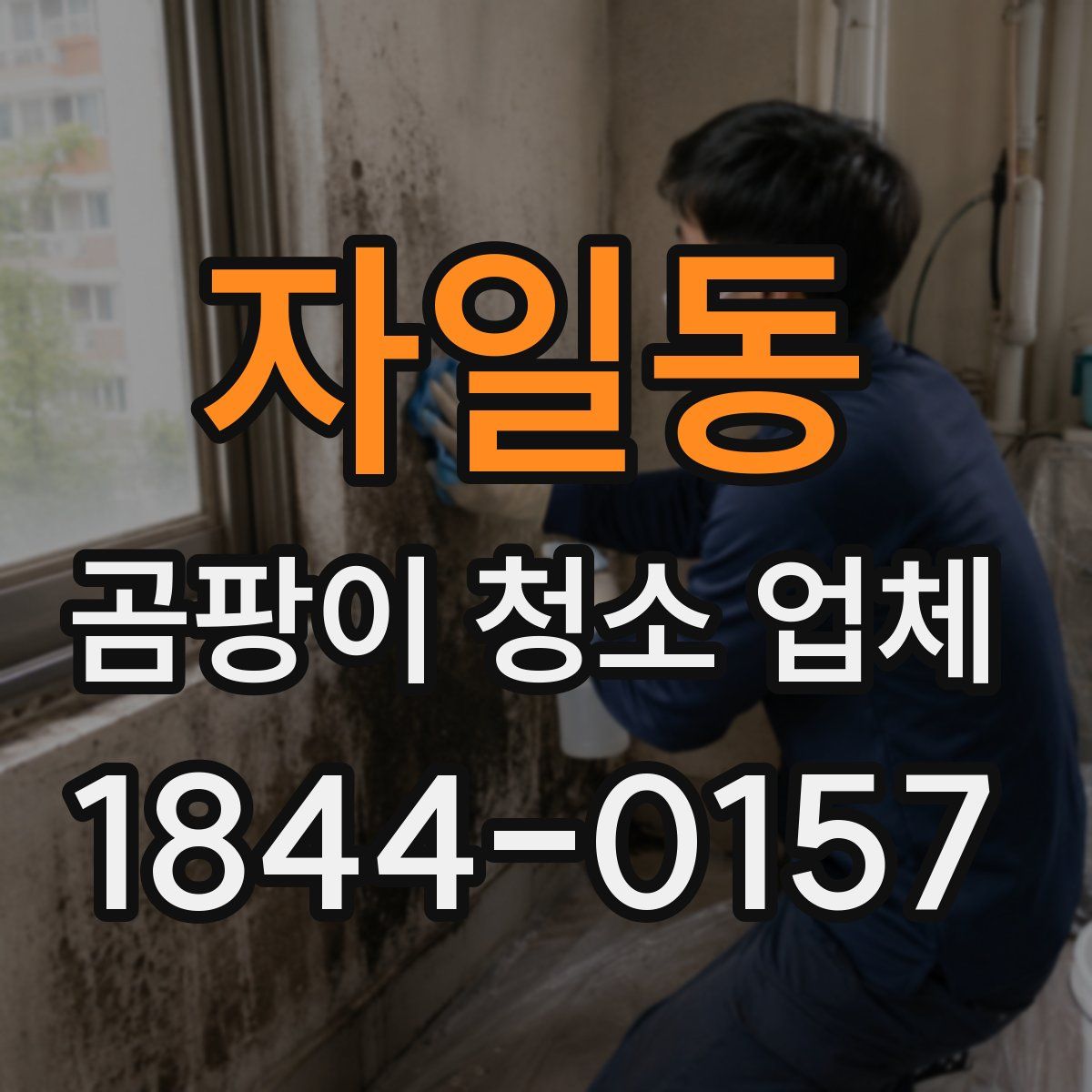 자일동 곰팡이 청소 업체