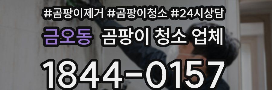금오동 곰팡이 청소 업체