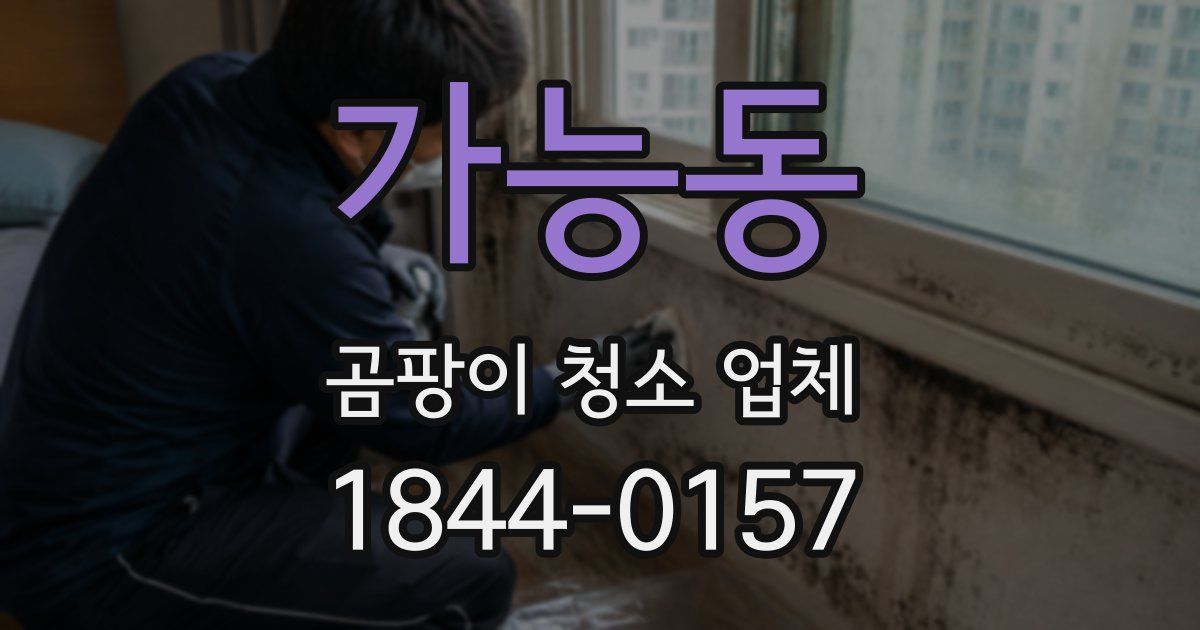 가능동 곰팡이 청소 업체