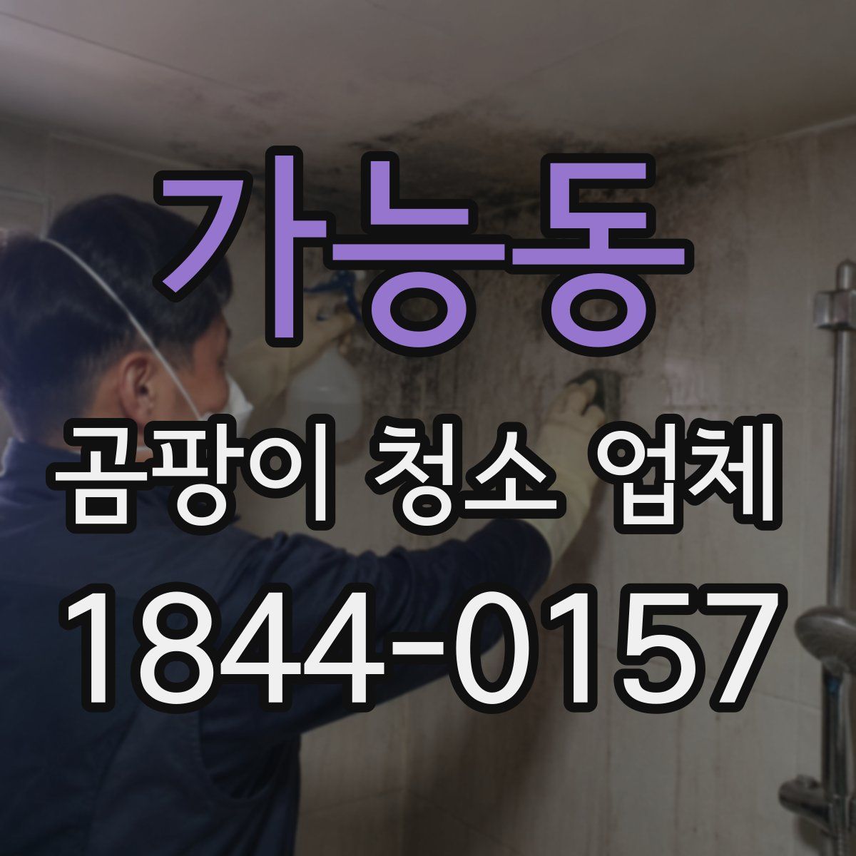 가능동 곰팡이 청소 업체