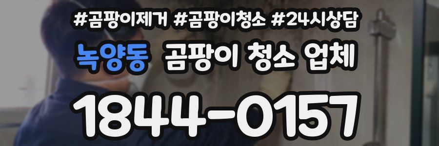 녹양동 곰팡이 청소 업체