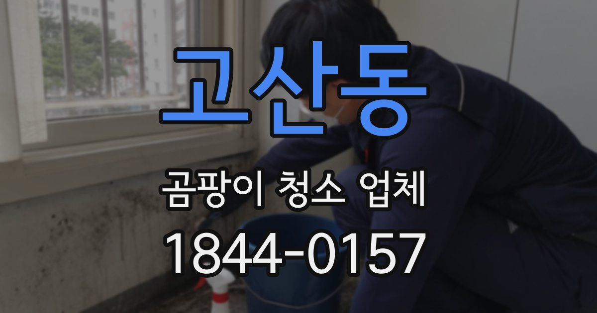 고산동 곰팡이 청소 업체
