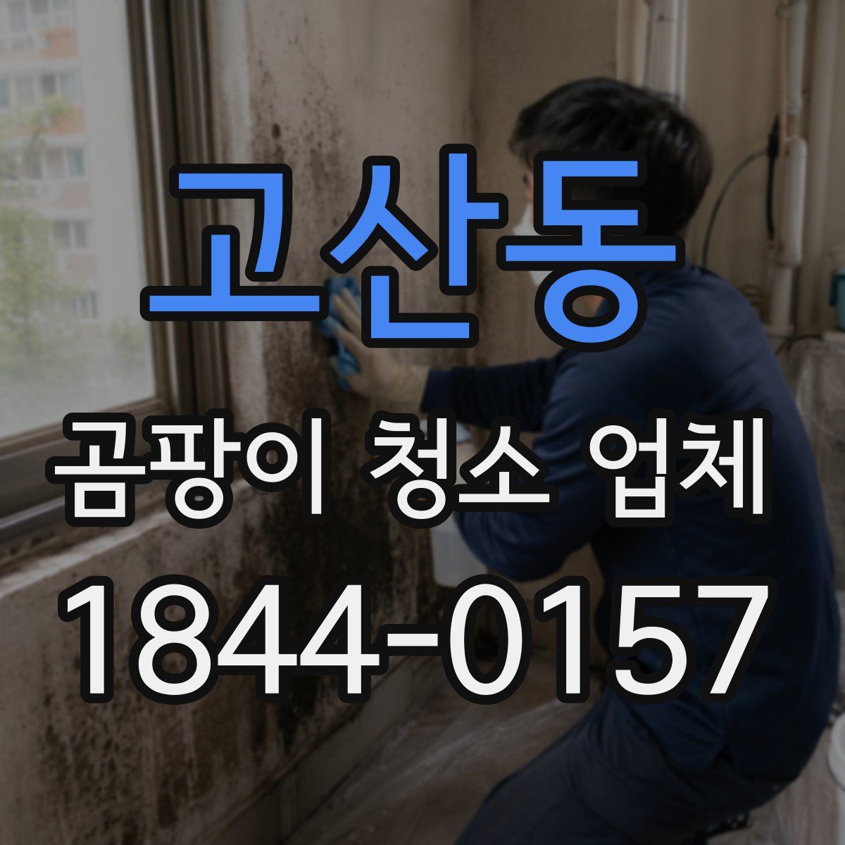 고산동 곰팡이 청소 업체