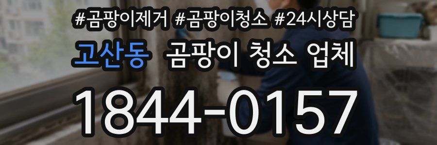 고산동 곰팡이 청소 업체