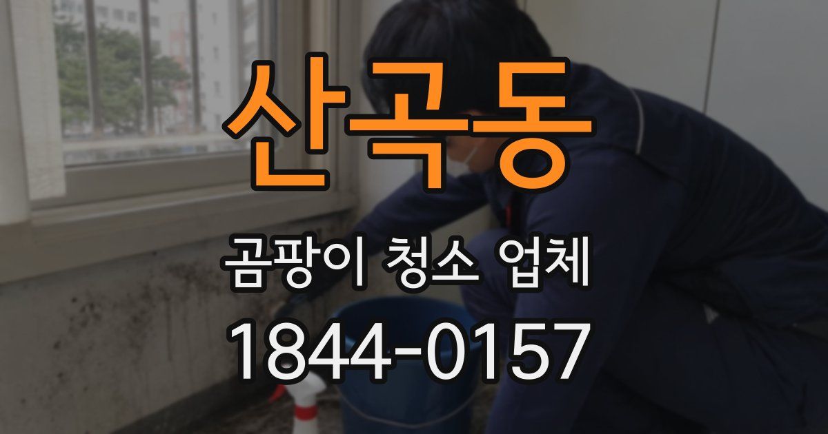 산곡동 곰팡이 청소 업체