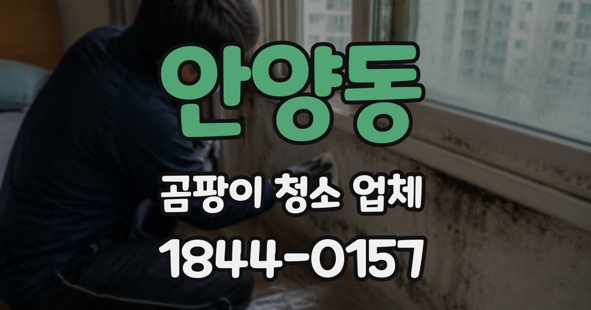 안양동 곰팡이 청소 업체
