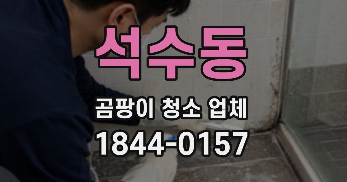 석수동 곰팡이 청소 업체
