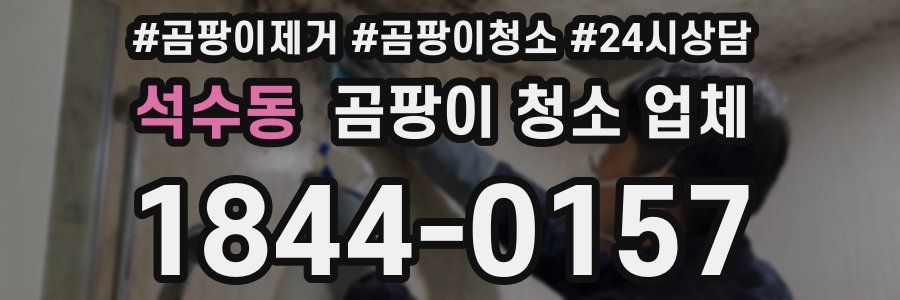 석수동 곰팡이 청소 업체
