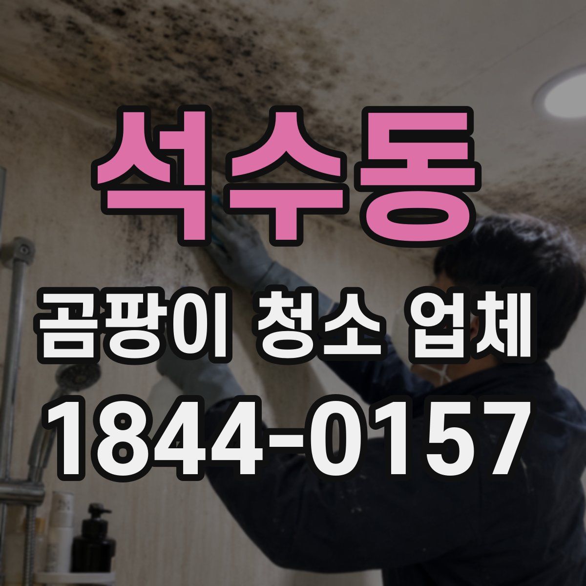석수동 곰팡이 청소 업체