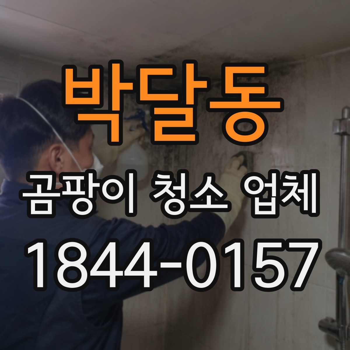 박달동 곰팡이 청소 업체