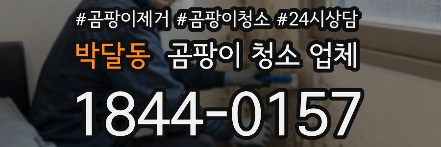 박달동 곰팡이 청소 업체