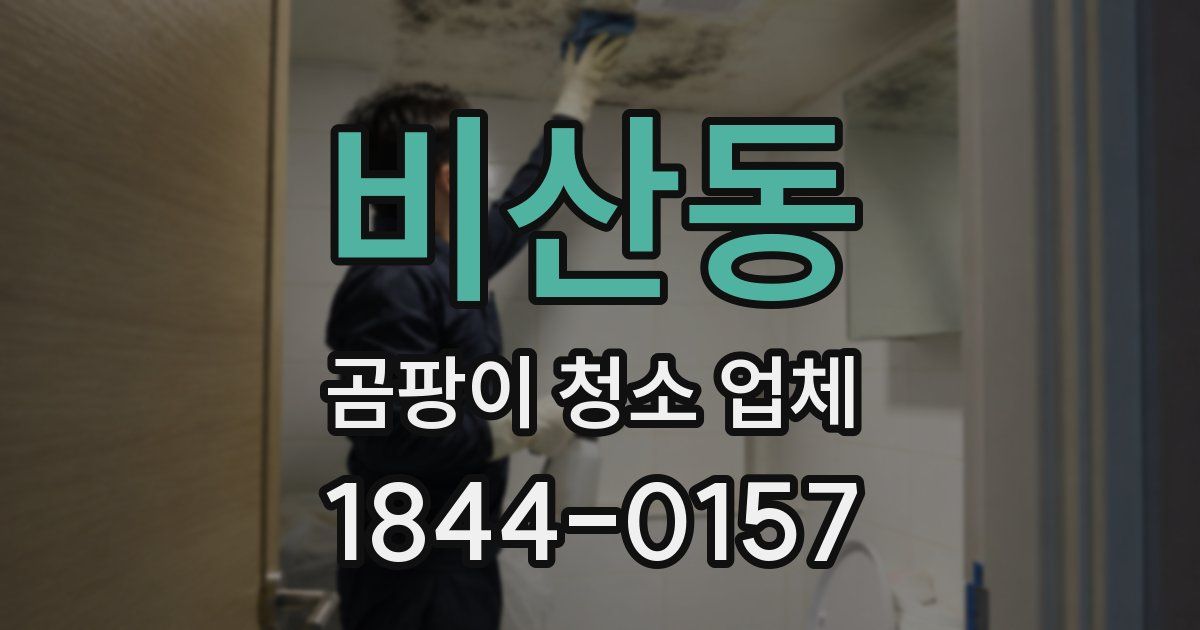 비산동 곰팡이 청소 업체