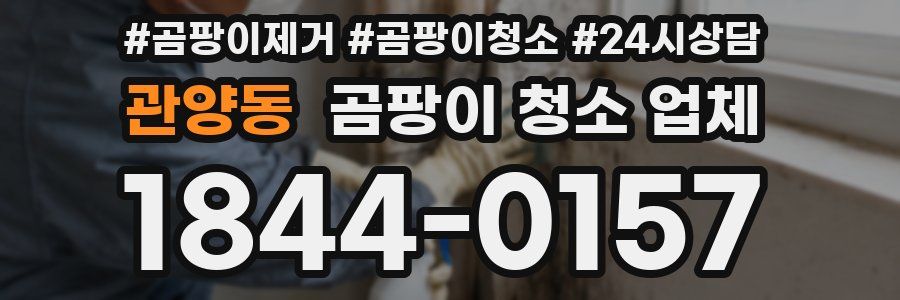 관양동 곰팡이 청소 업체